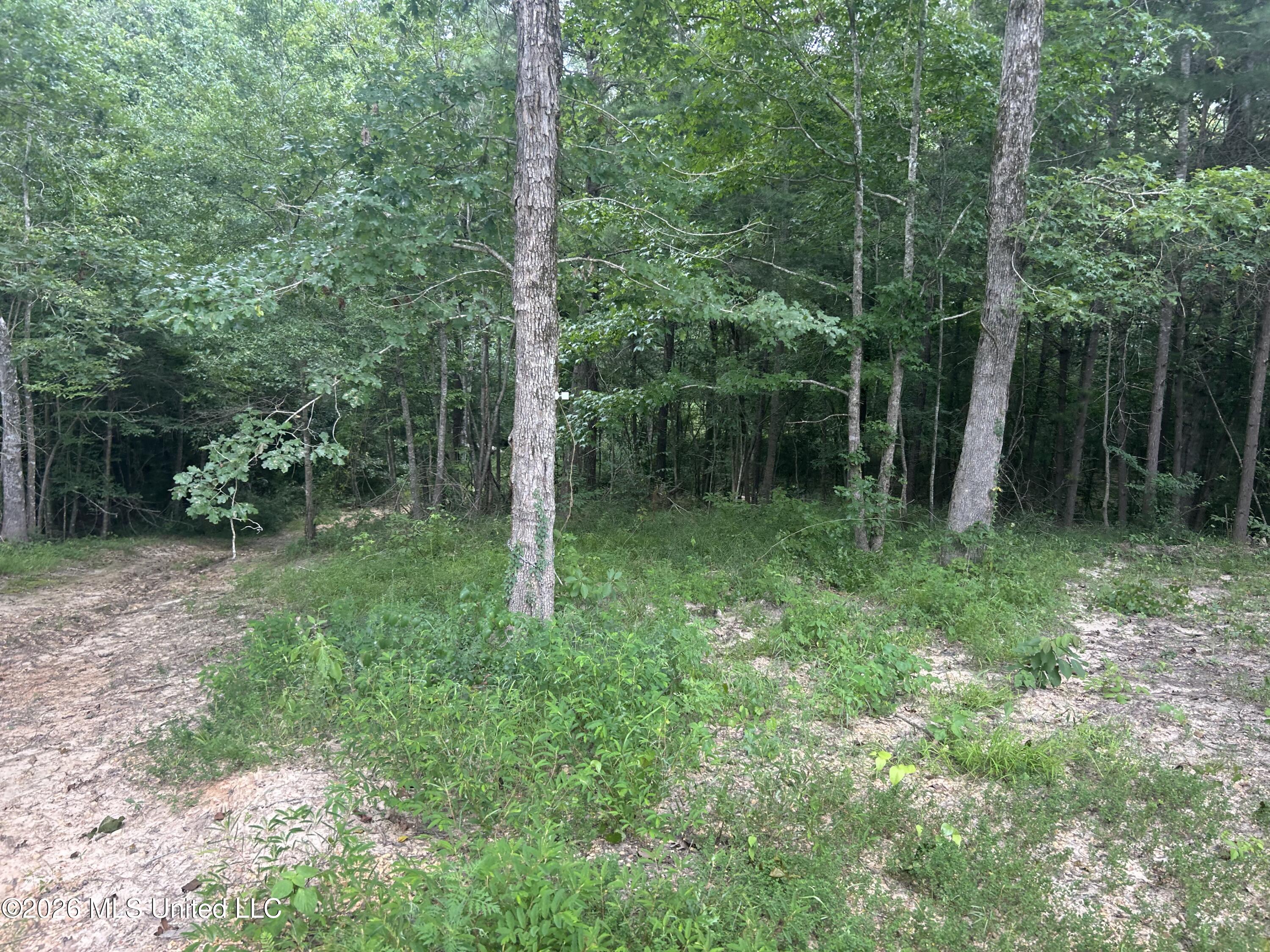 2543 Se Warren Road Property Photo 47