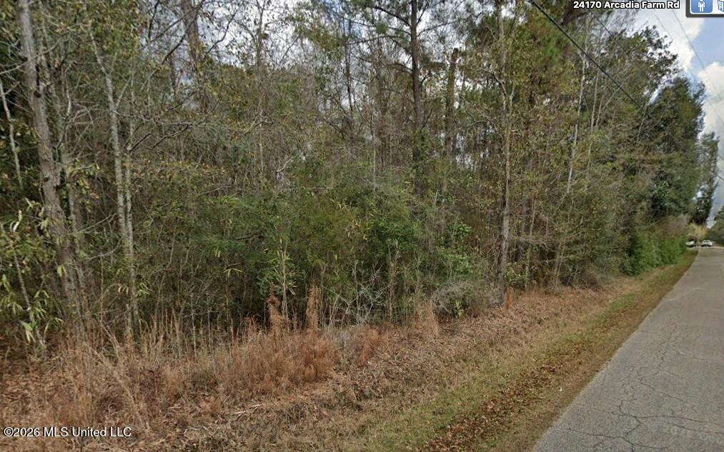 Tbd Arcadia Farm Road Property Photo 4