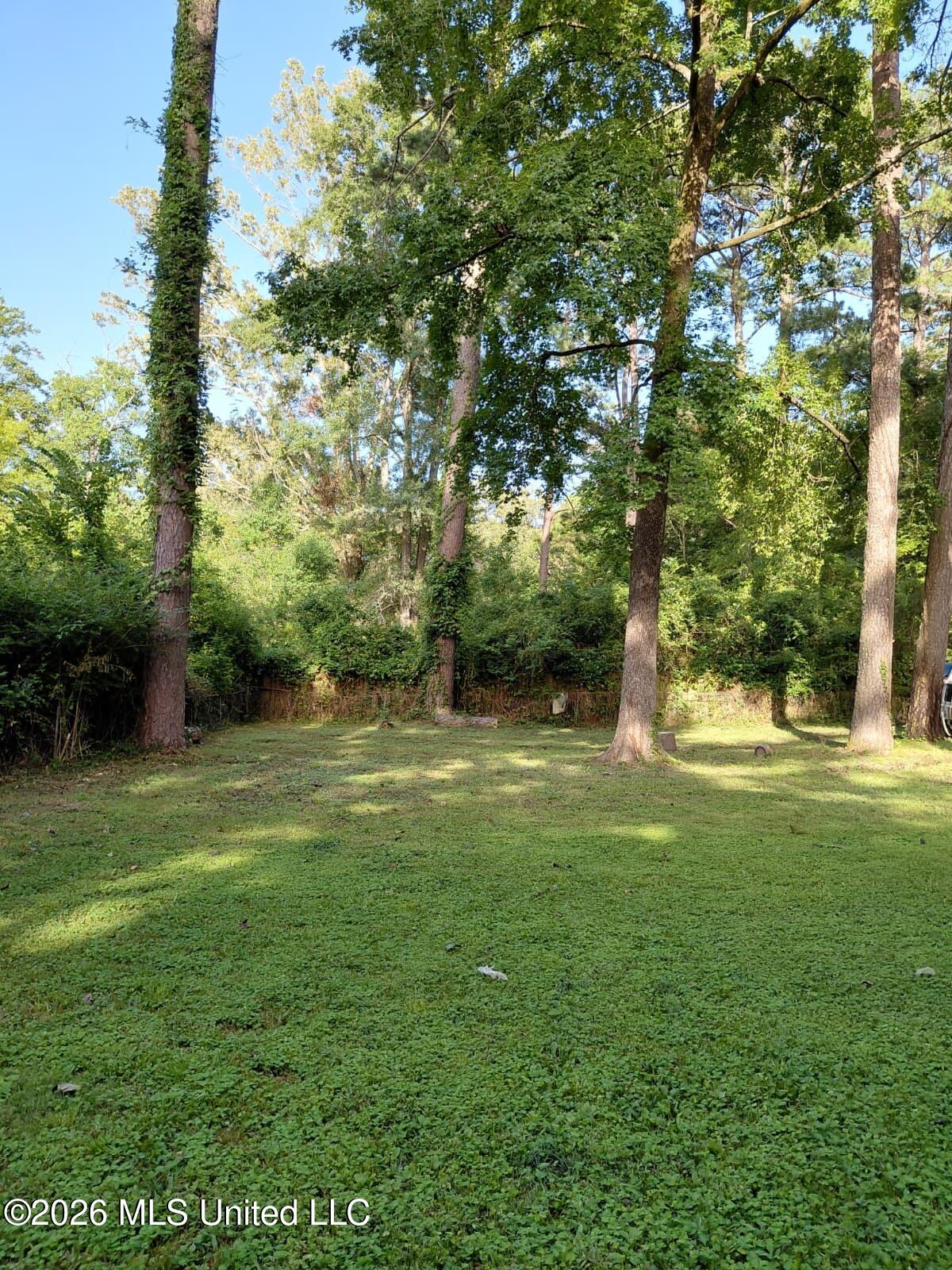 2354 Belvedere Drive Property Photo 25