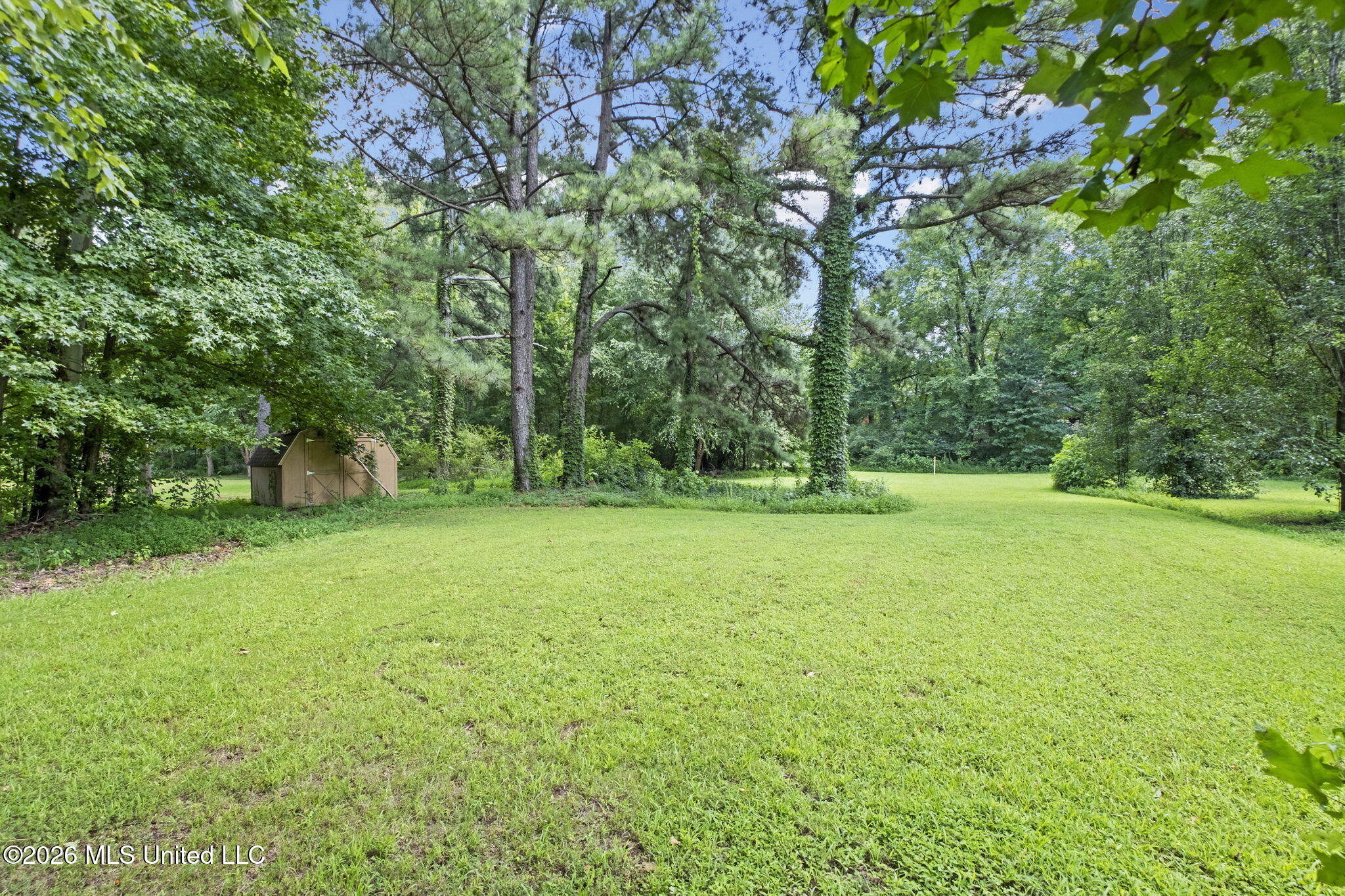 8925 Youngblood Road Property Photo 27