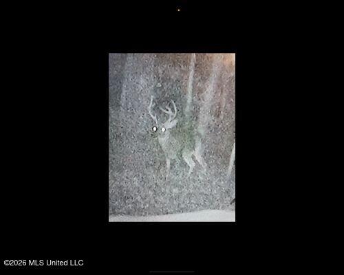 Cayce Road Property Photo 3