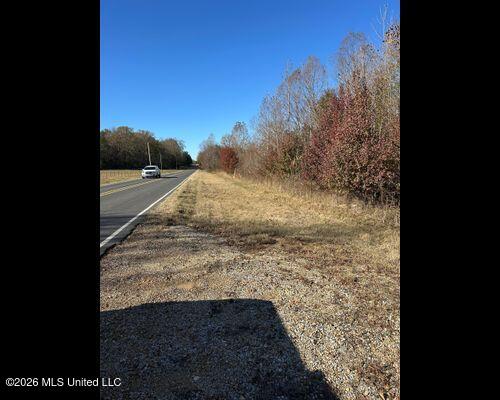 Cayce Road Property Photo 5