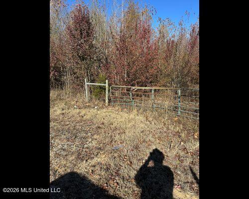Cayce Road Property Photo 6
