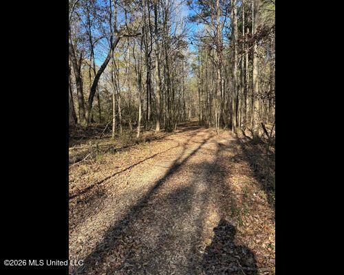Cayce Road Property Photo 8