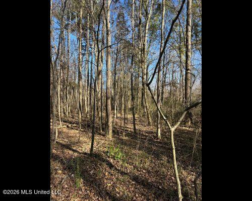 Cayce Road Property Photo 9