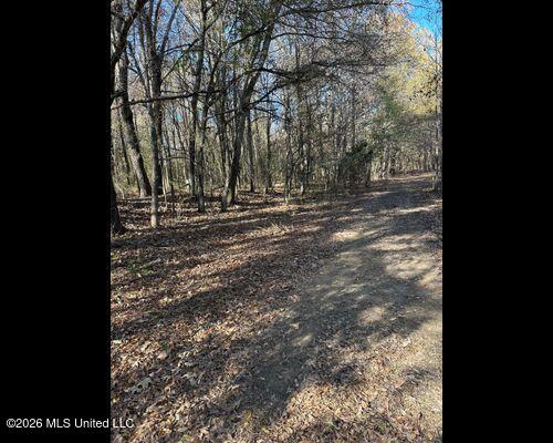 Cayce Road Property Photo 10