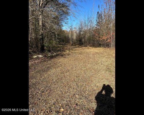 Cayce Road Property Photo 13