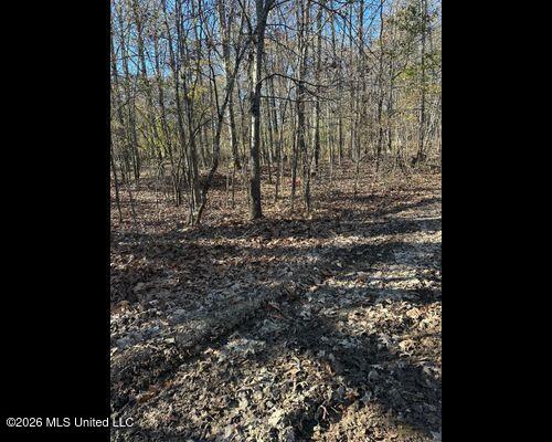 Cayce Road Property Photo 14
