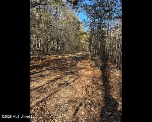 Cayce Road Property Photo 15