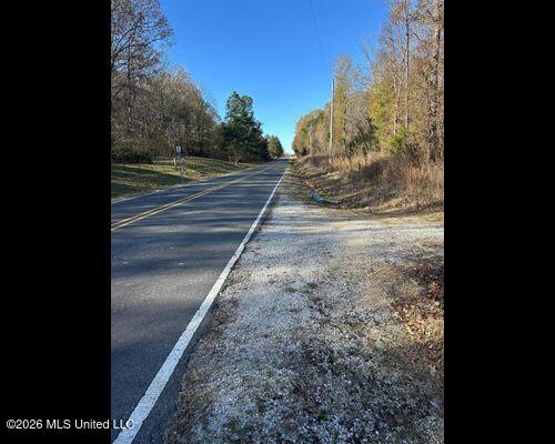 Cayce Road Property Photo 16