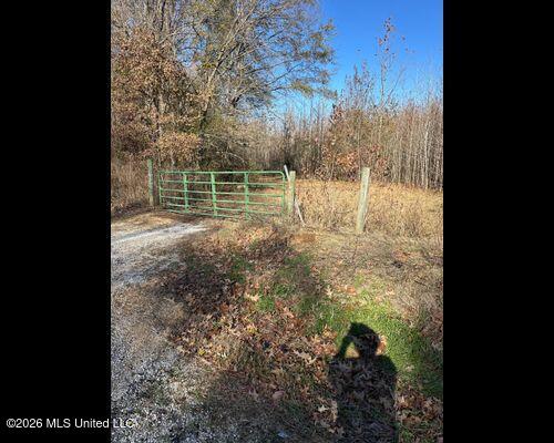 Cayce Road Property Photo 17