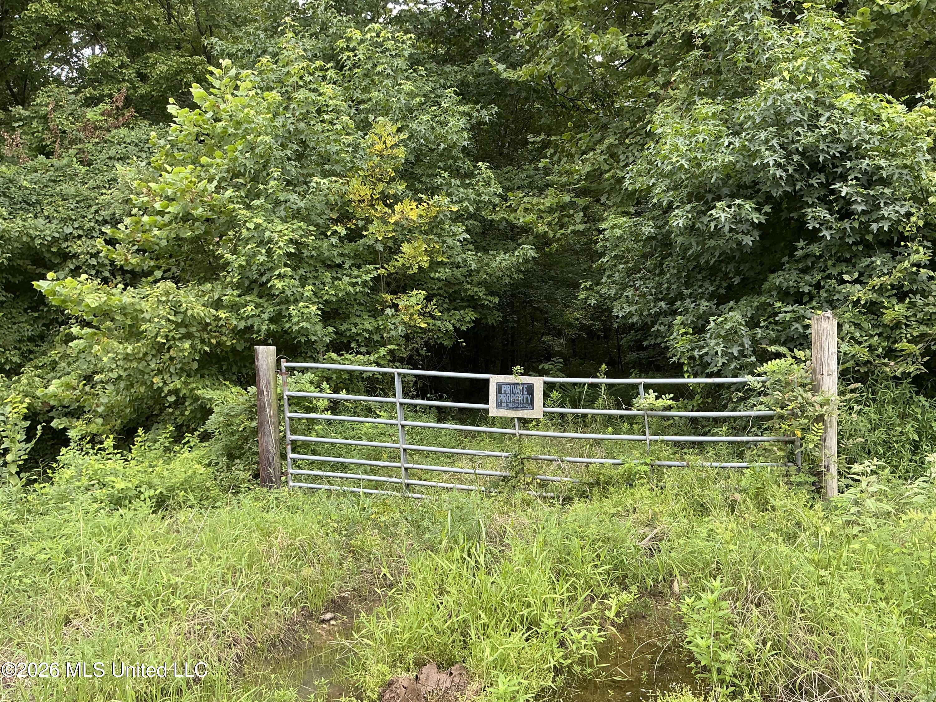Cayce Road Property Photo 22