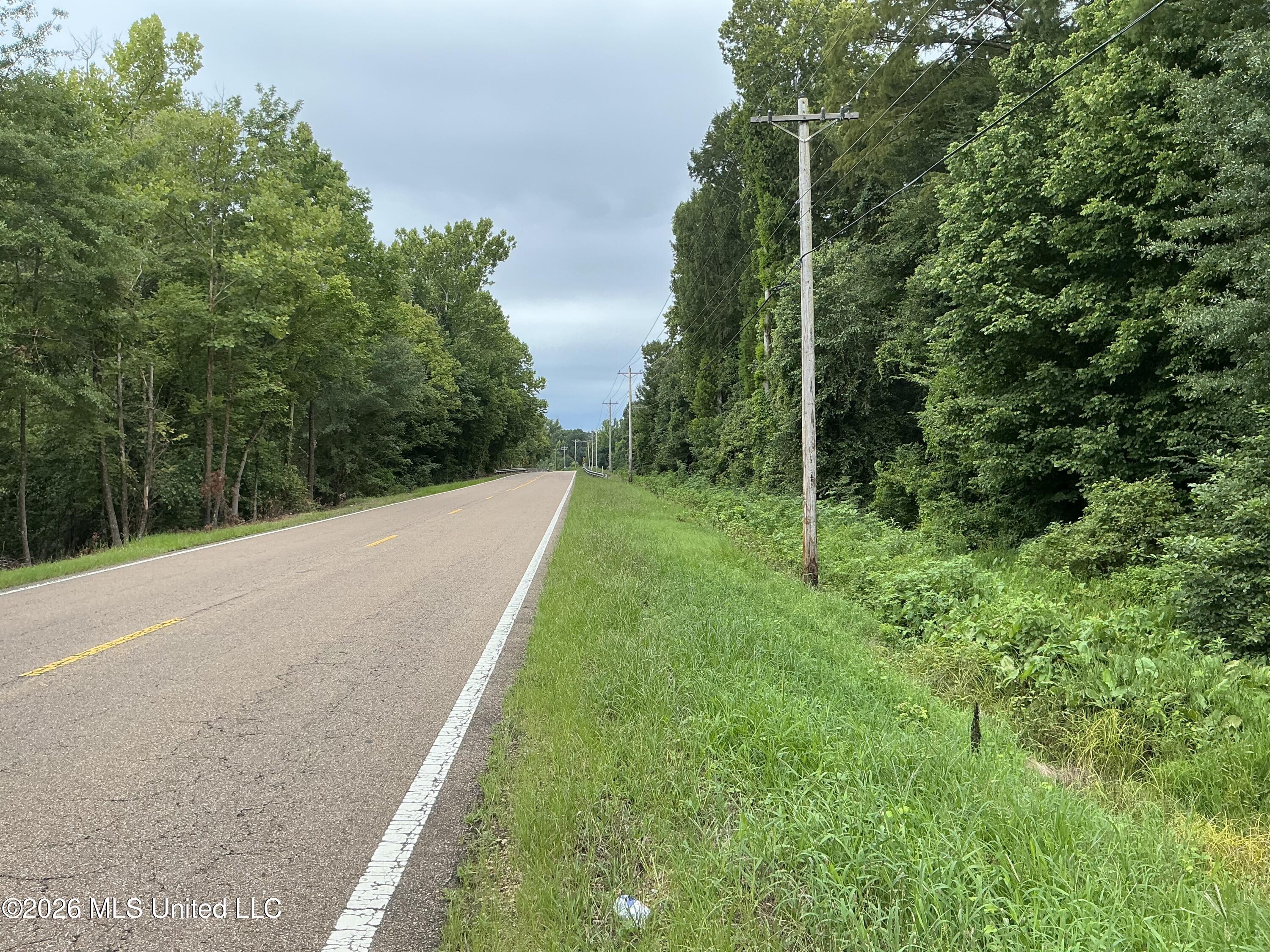 Cayce Road Property Photo 23