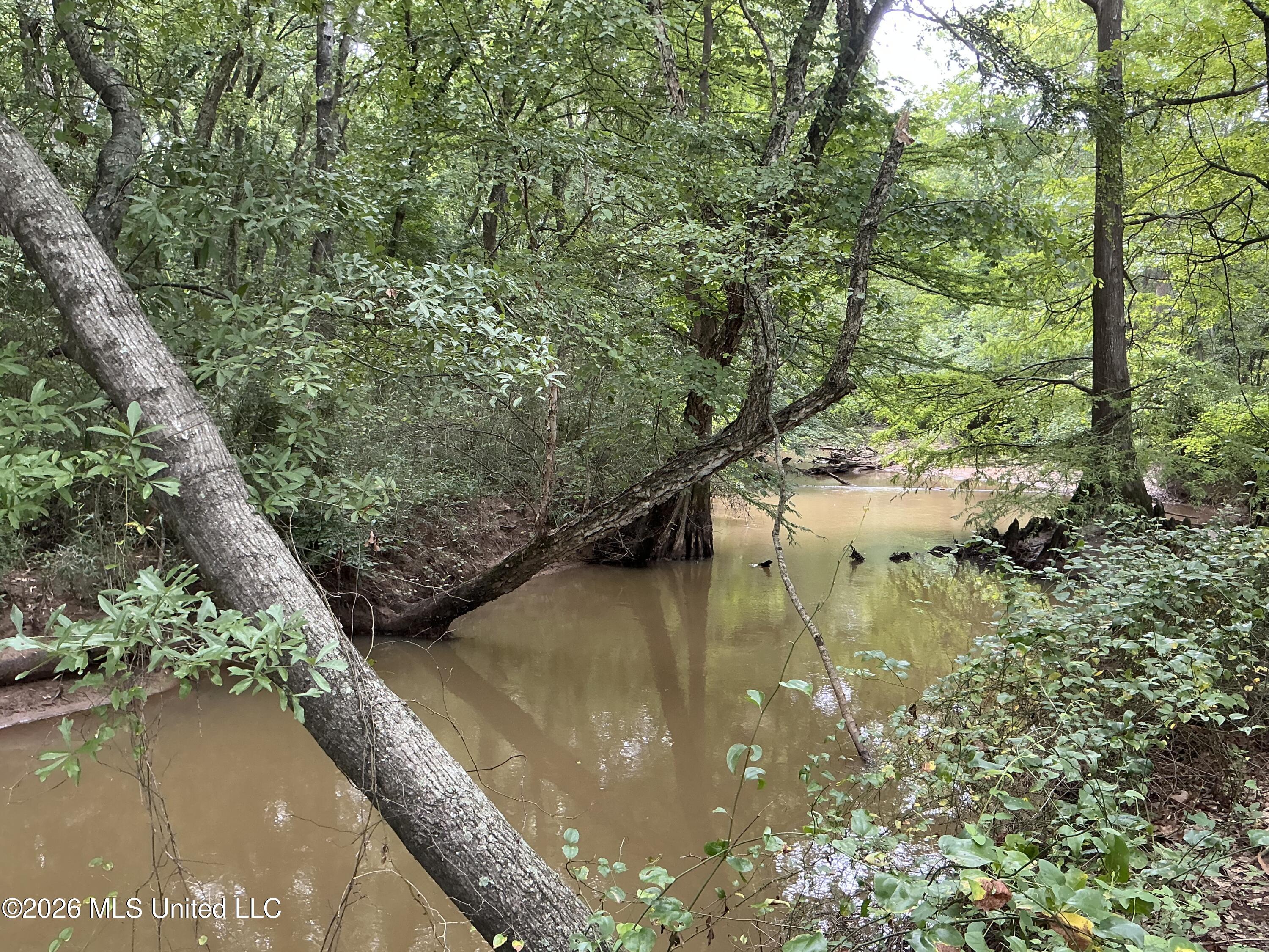 Cayce Road Property Photo 24
