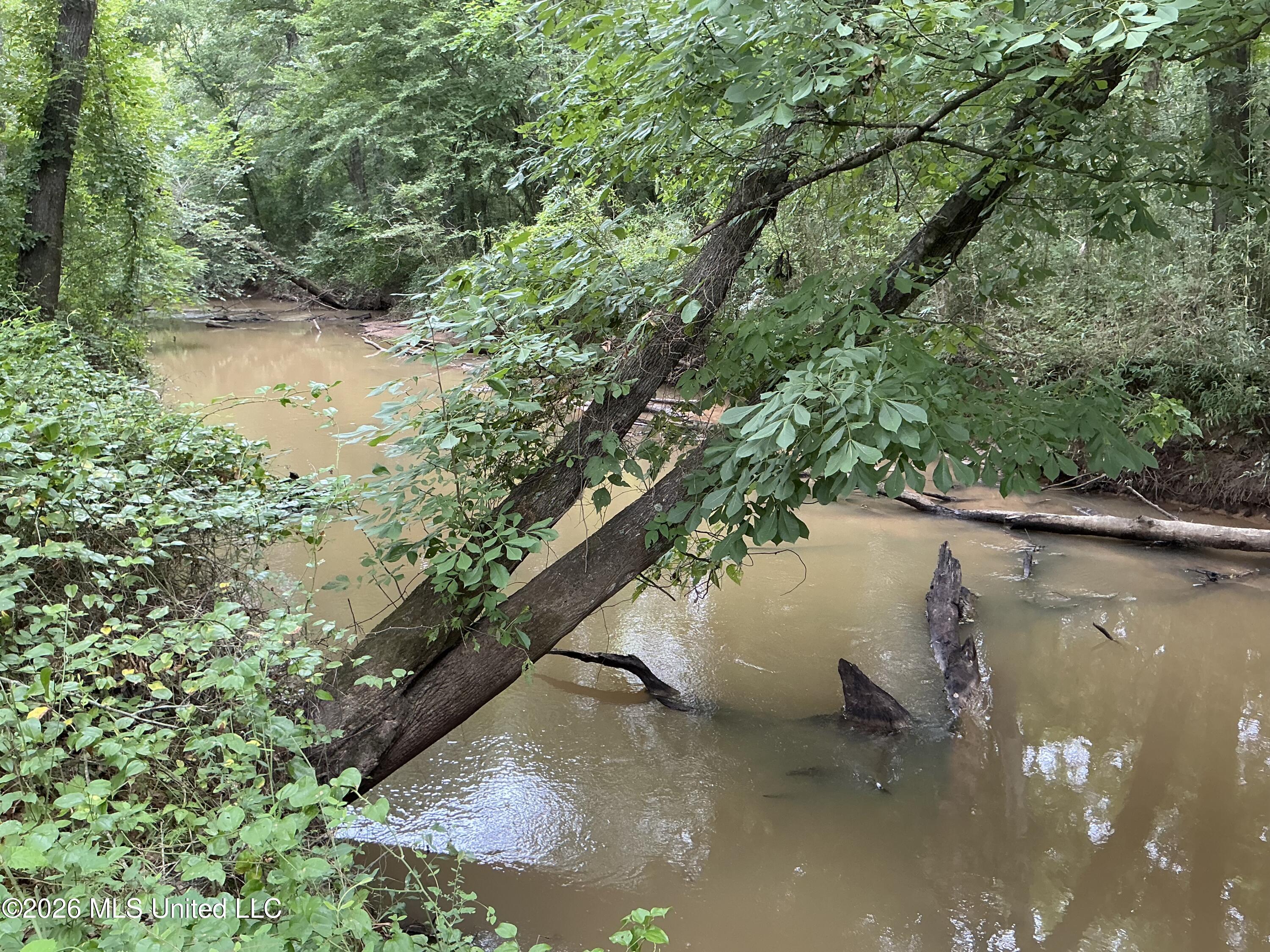 Cayce Road Property Photo 25