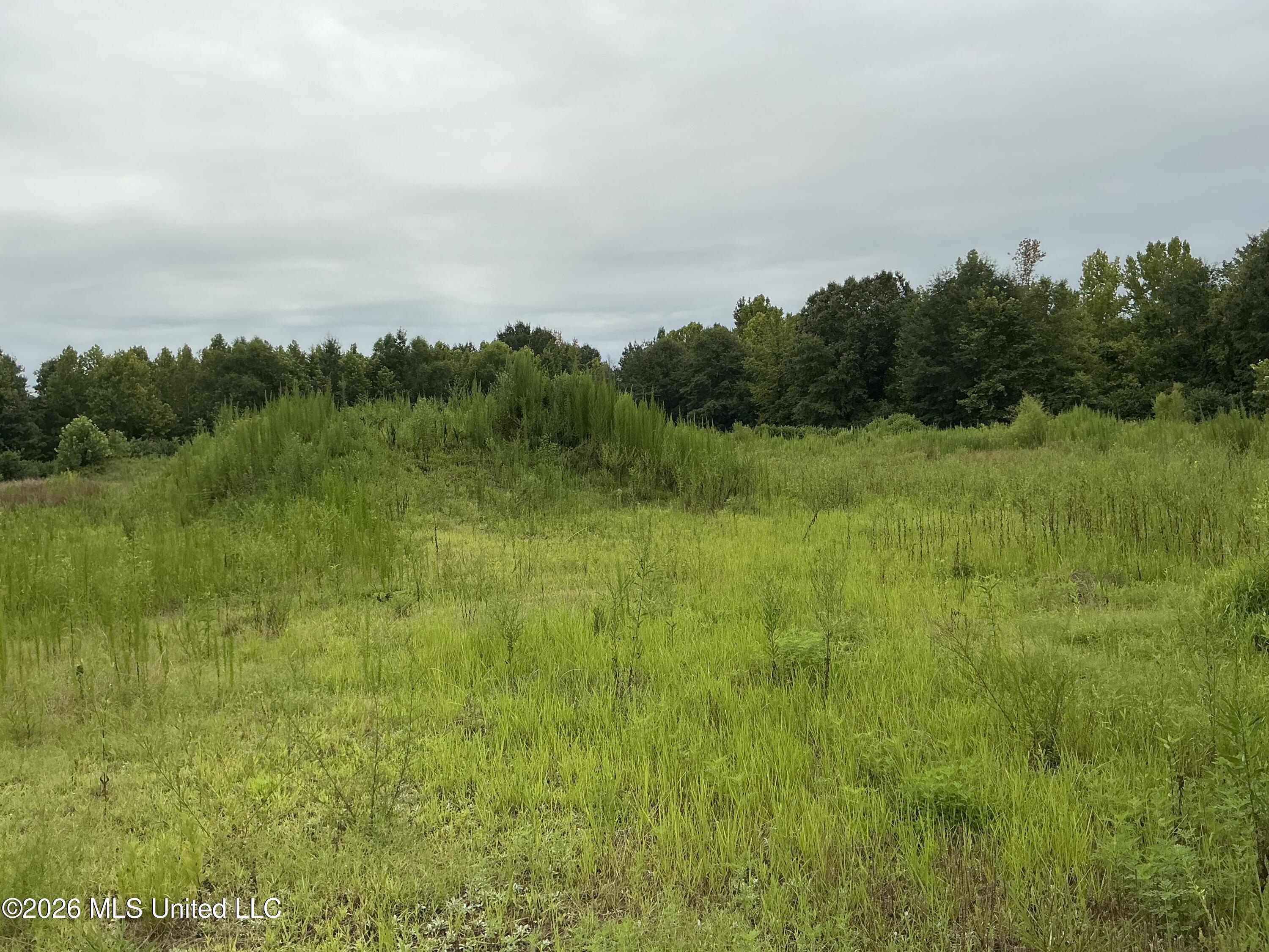 Cayce Road Property Photo 28