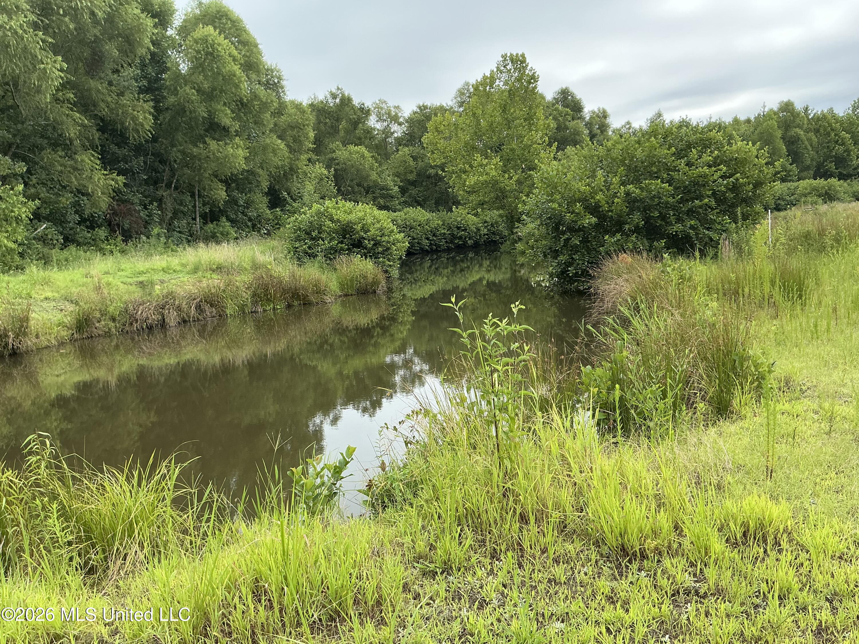 Cayce Road Property Photo 29