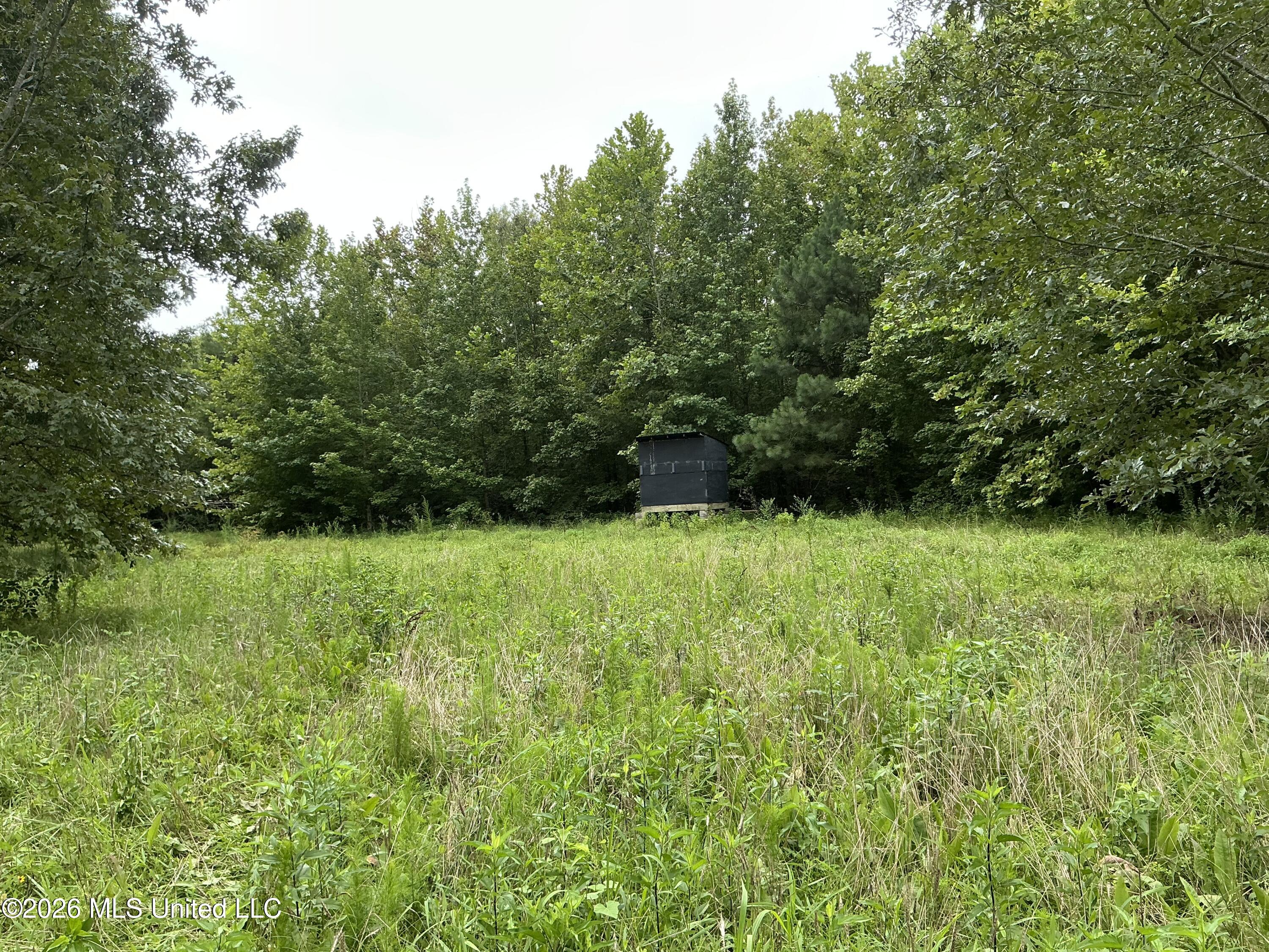 Cayce Road Property Photo 31