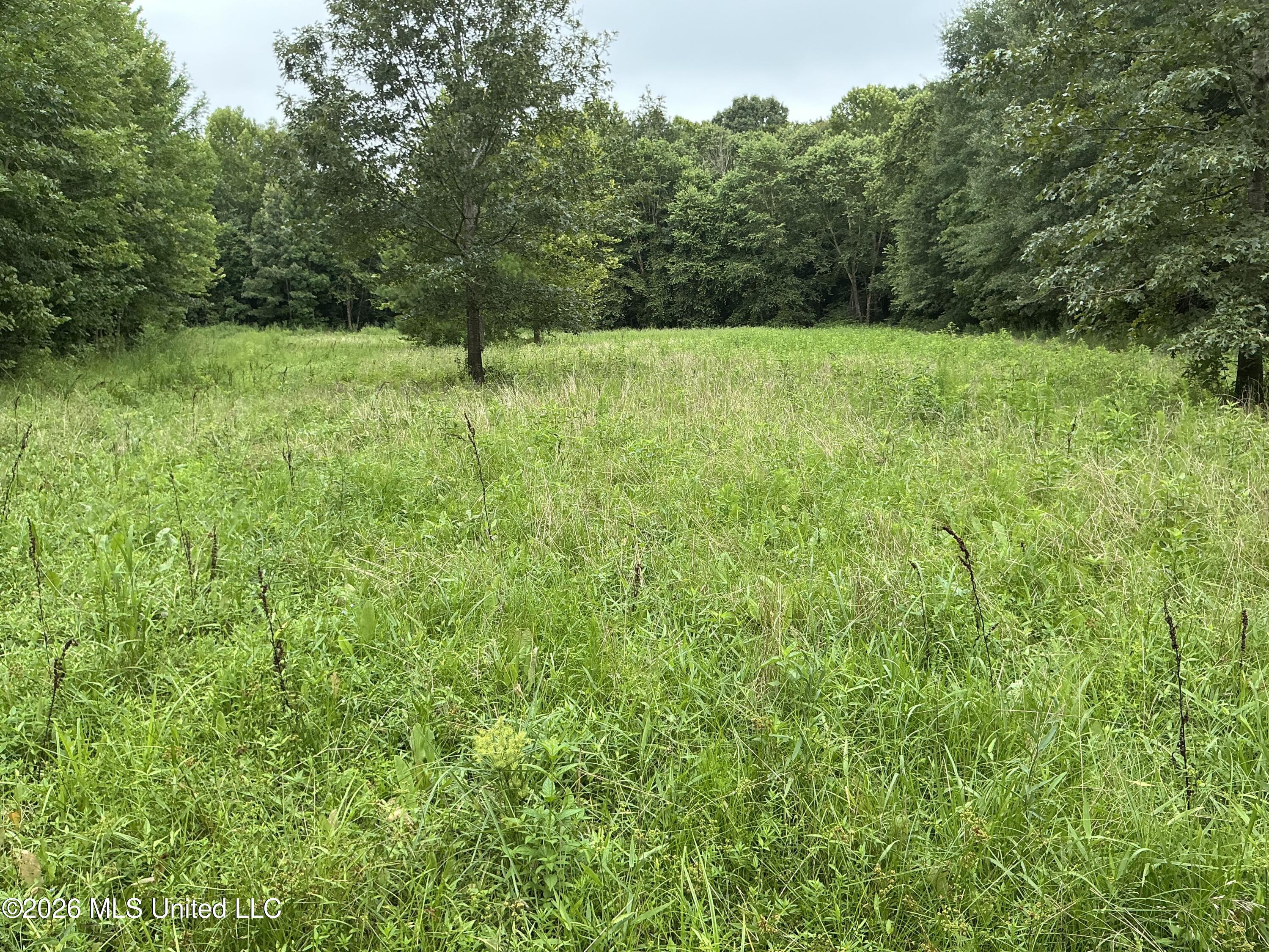 Cayce Road Property Photo 32