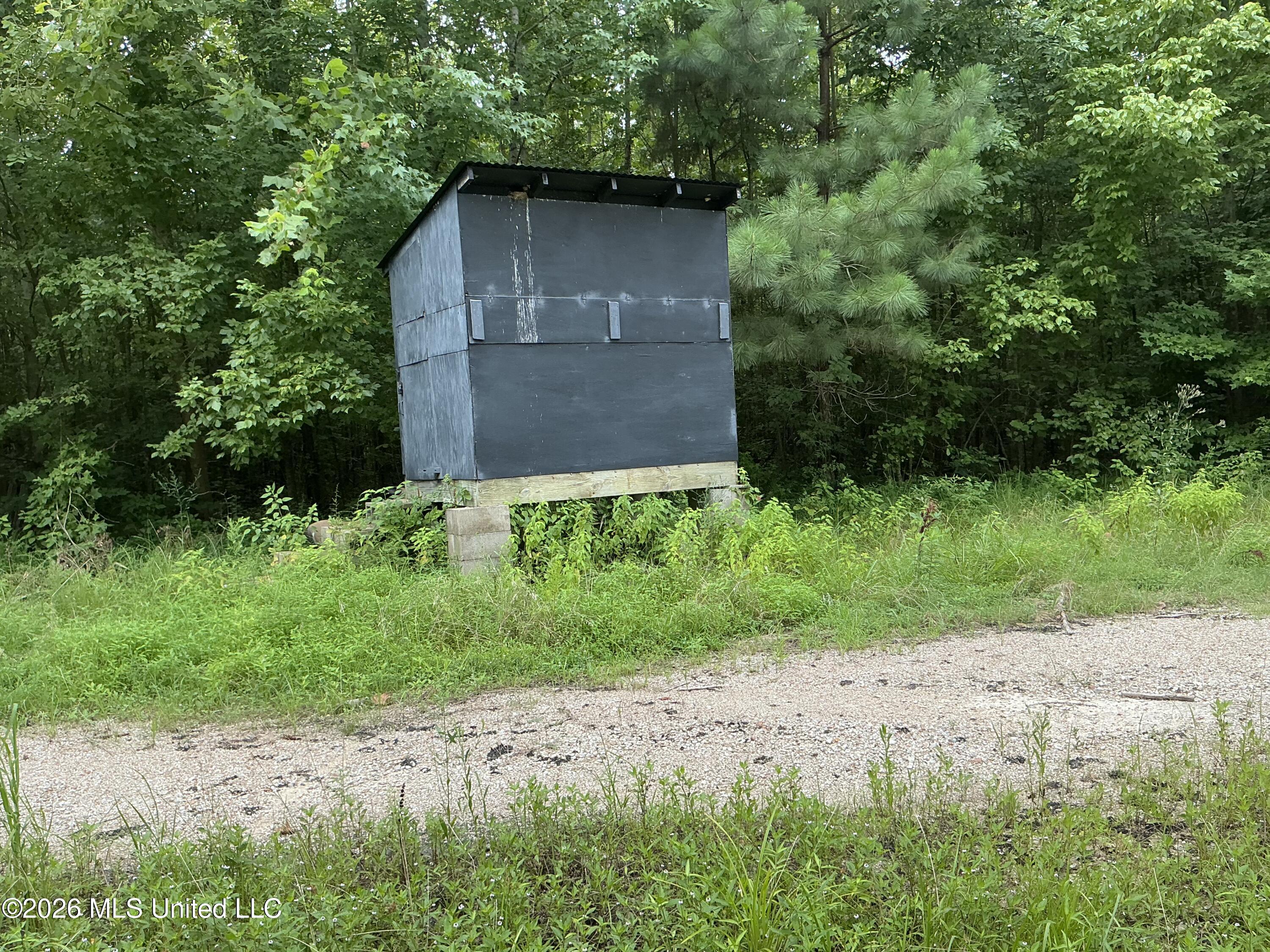 Cayce Road Property Photo 33
