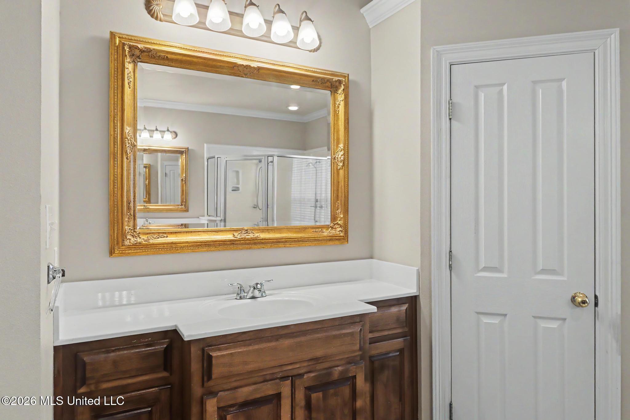 3508 Brandon James Drive Property Photo 17