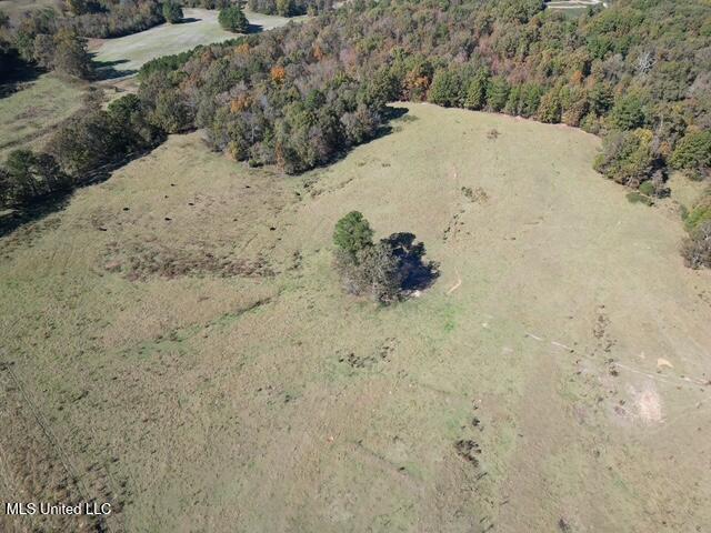 Hwy 4 Property Photo 4