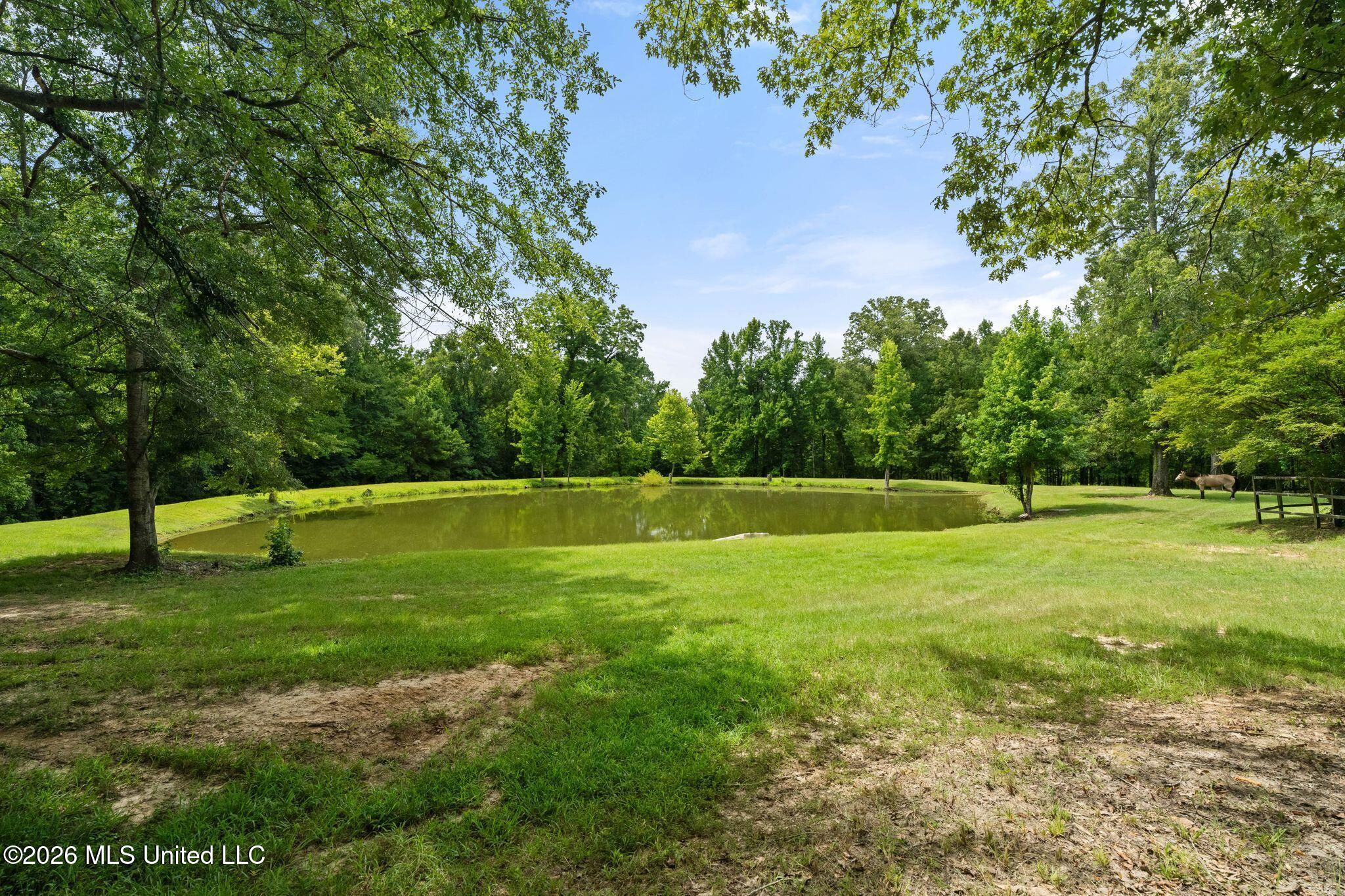 768 Lake Boulevard Property Photo 62