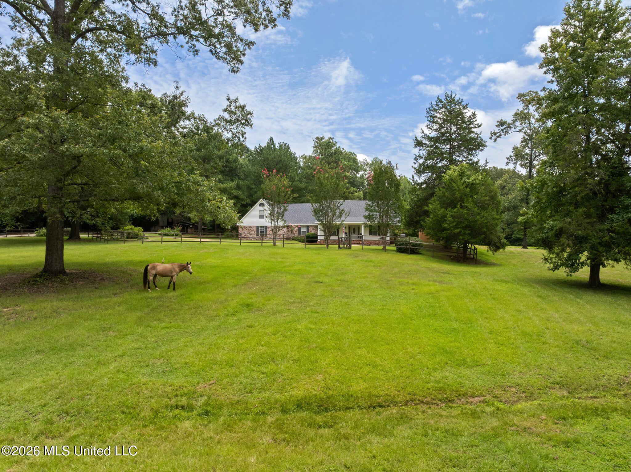 768 Lake Boulevard Property Photo 65