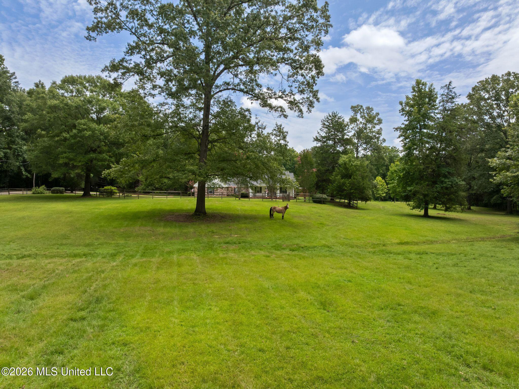 768 Lake Boulevard Property Photo 66