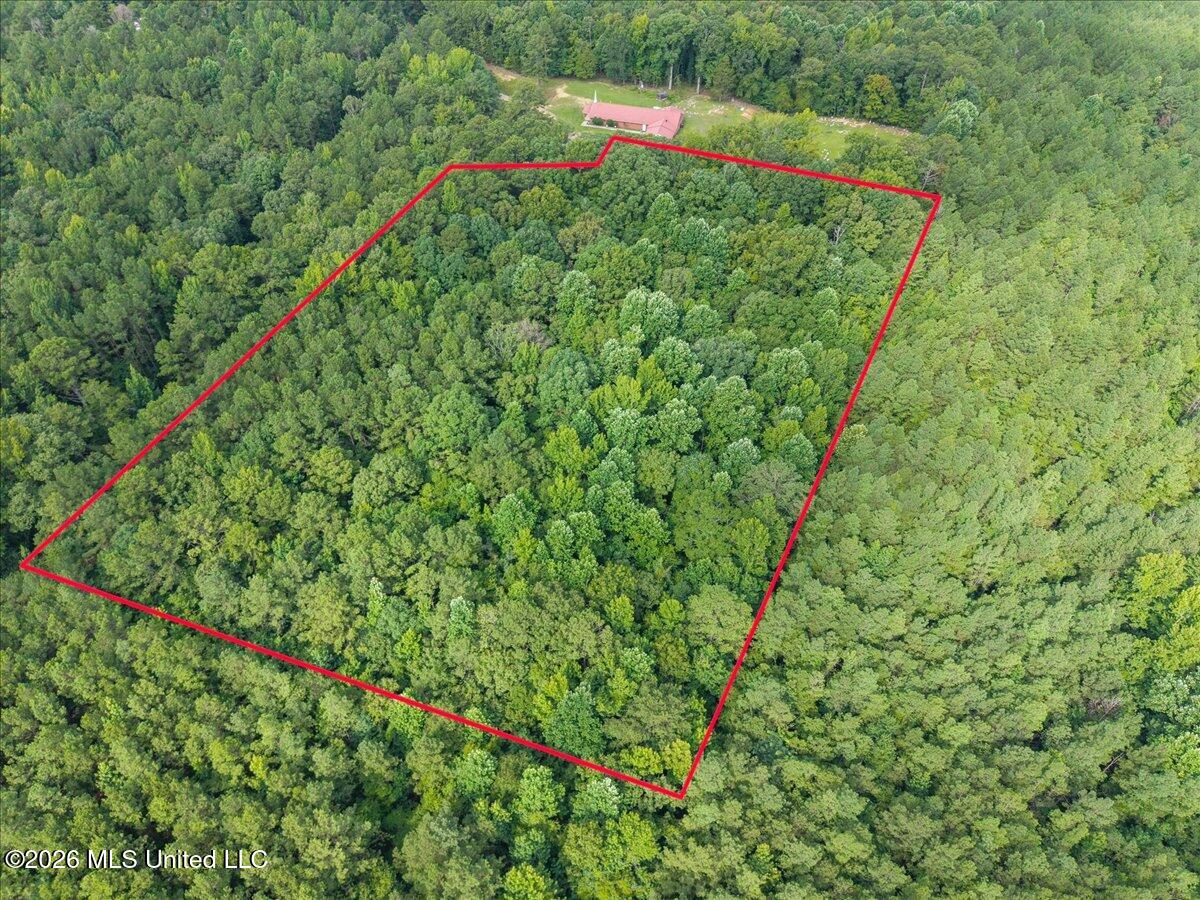 664 Mt Zion Road Property Photo 4