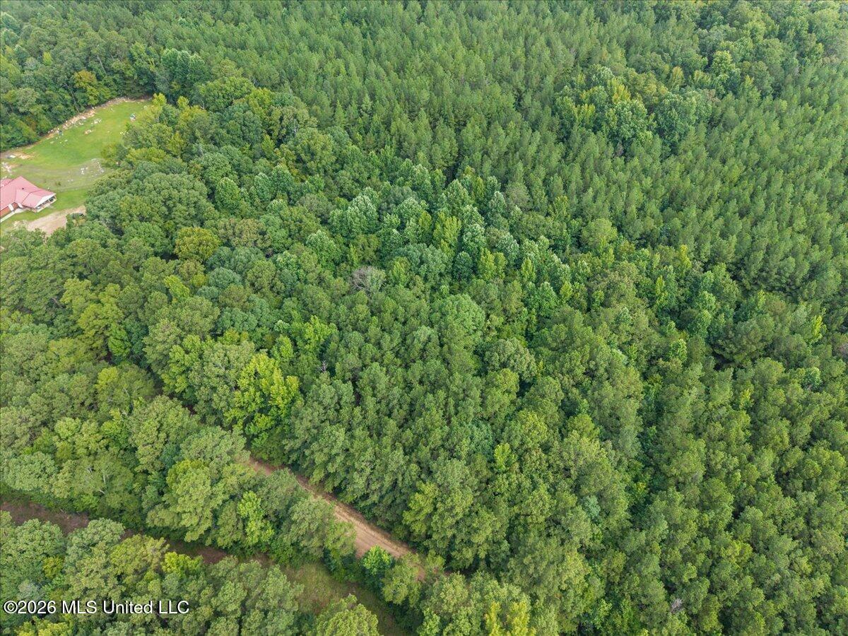 664 Mt Zion Road Property Photo 5
