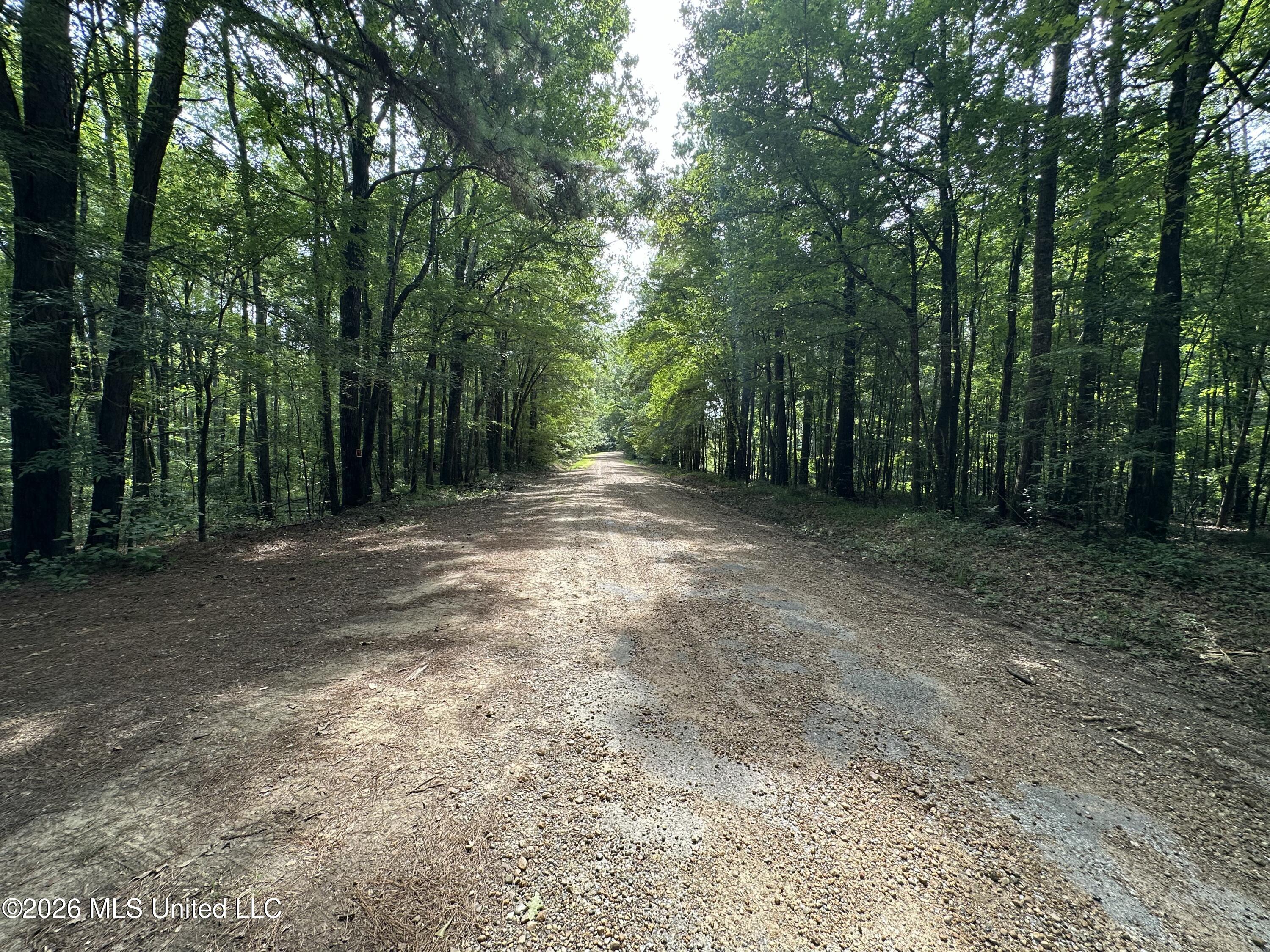 664 Mt Zion Road Property Photo 6