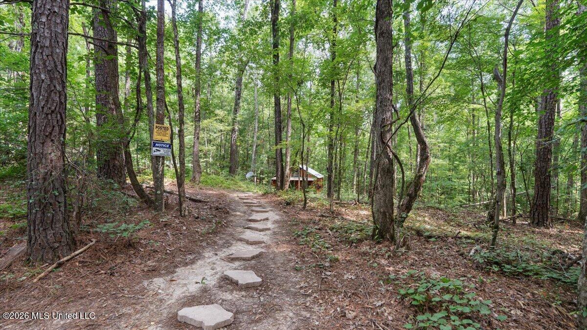 664 Mt Zion Road Property Photo 7