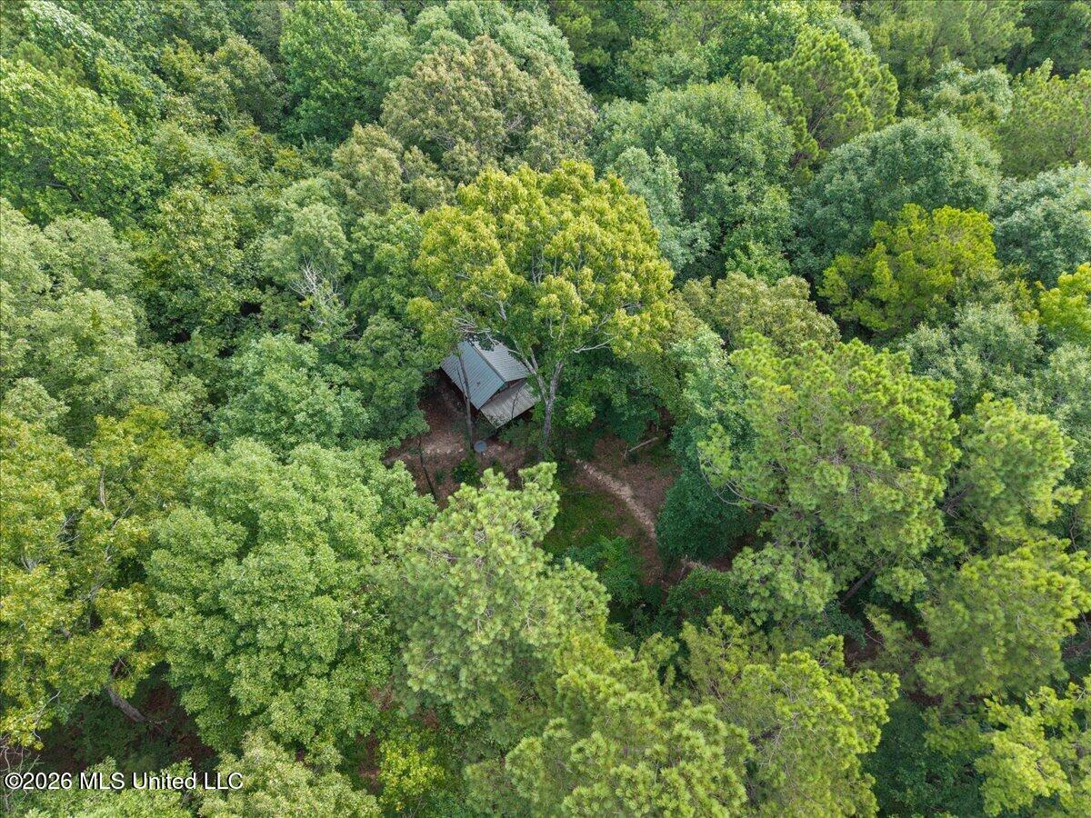 664 Mt Zion Road Property Photo 11