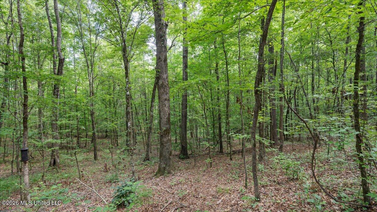 664 Mt Zion Road Property Photo 26
