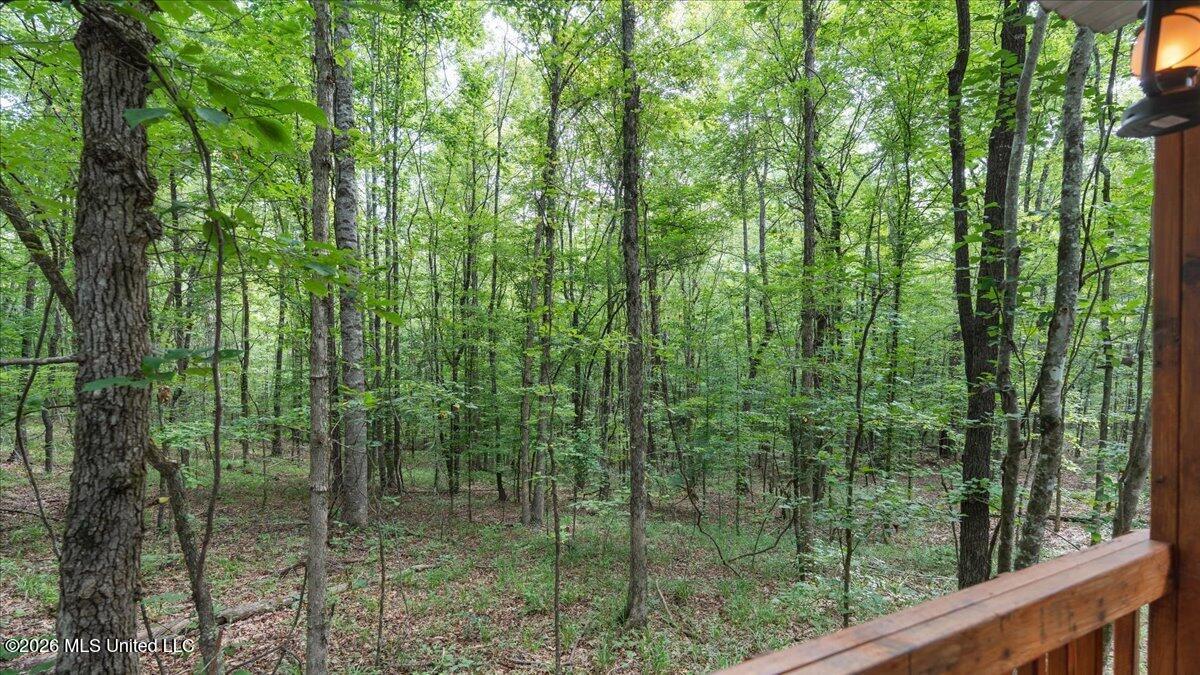 664 Mt Zion Road Property Photo 27