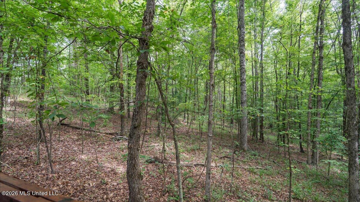 664 Mt Zion Road Property Photo 28