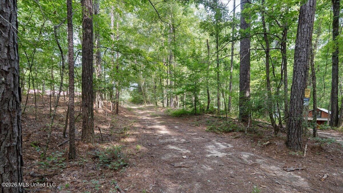 664 Mt Zion Road Property Photo 36