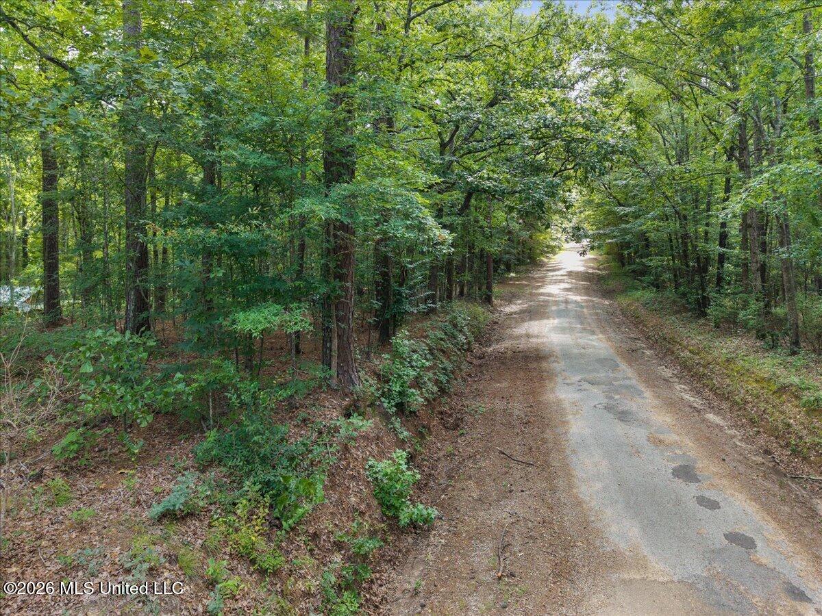 664 Mt Zion Road Property Photo 37