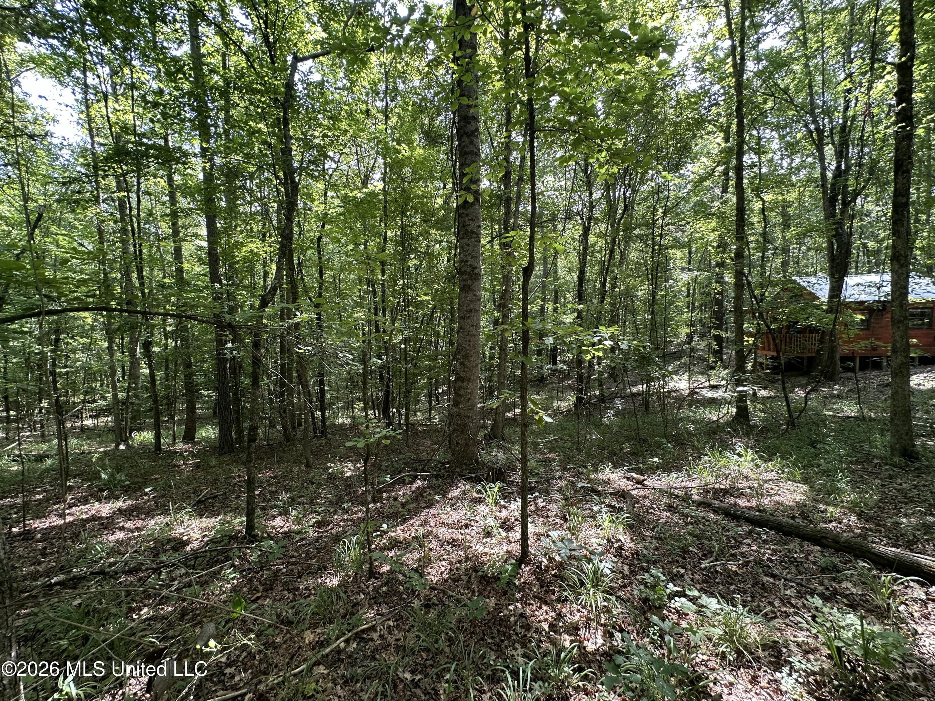 664 Mt Zion Road Property Photo 41