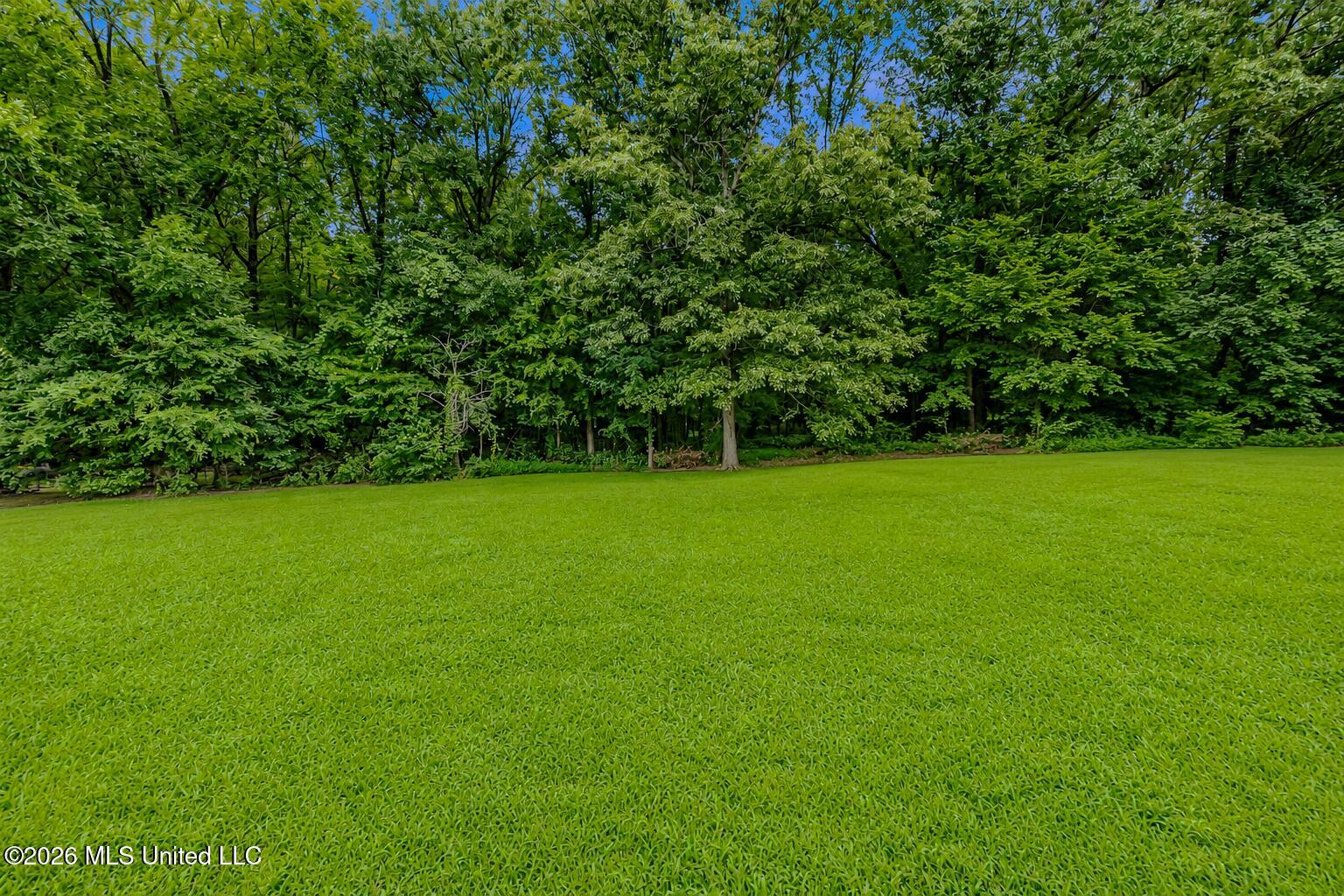 209 Roper Cove Property Photo 27