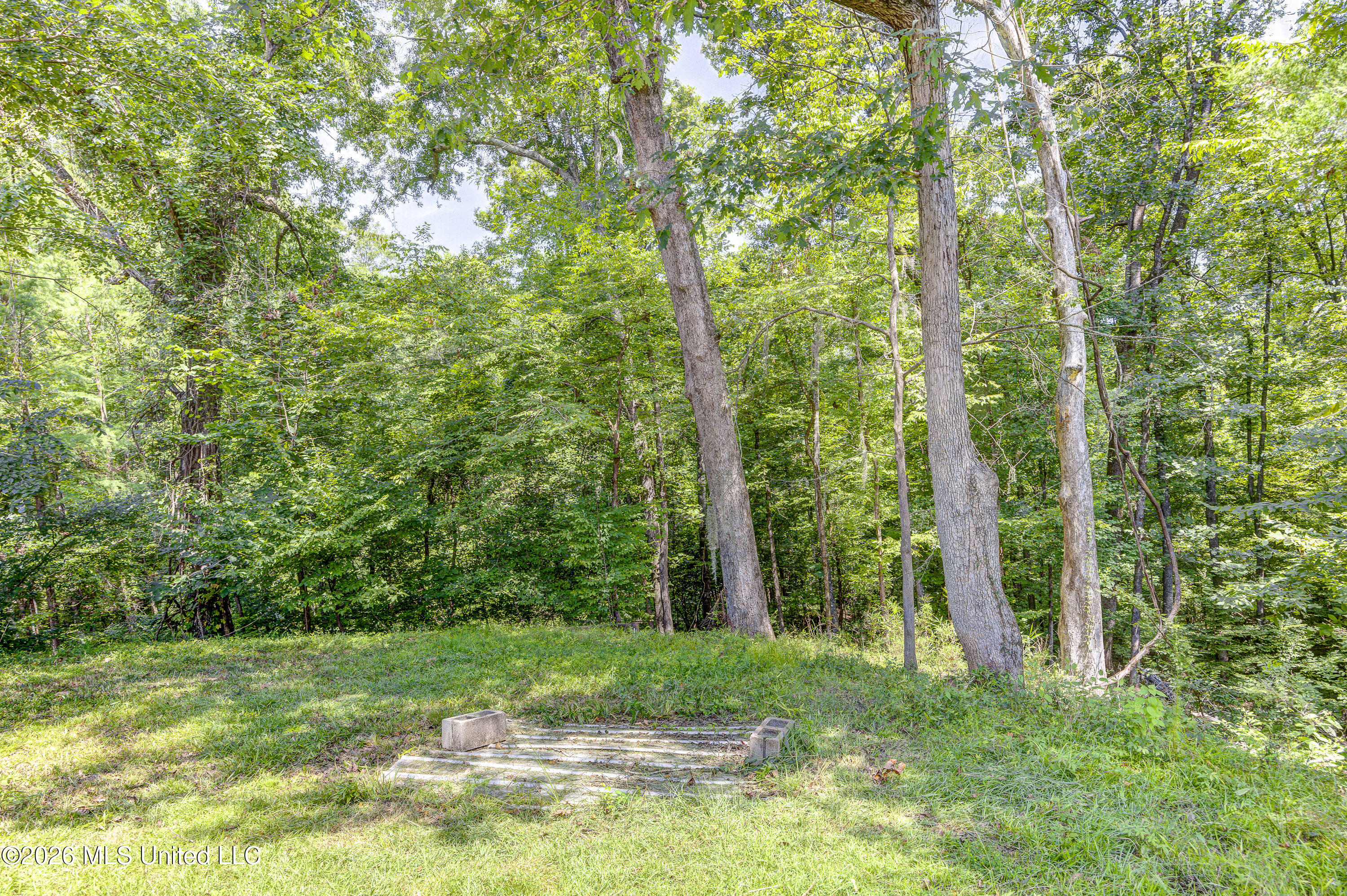 4255 Trotter Road Property Photo 43