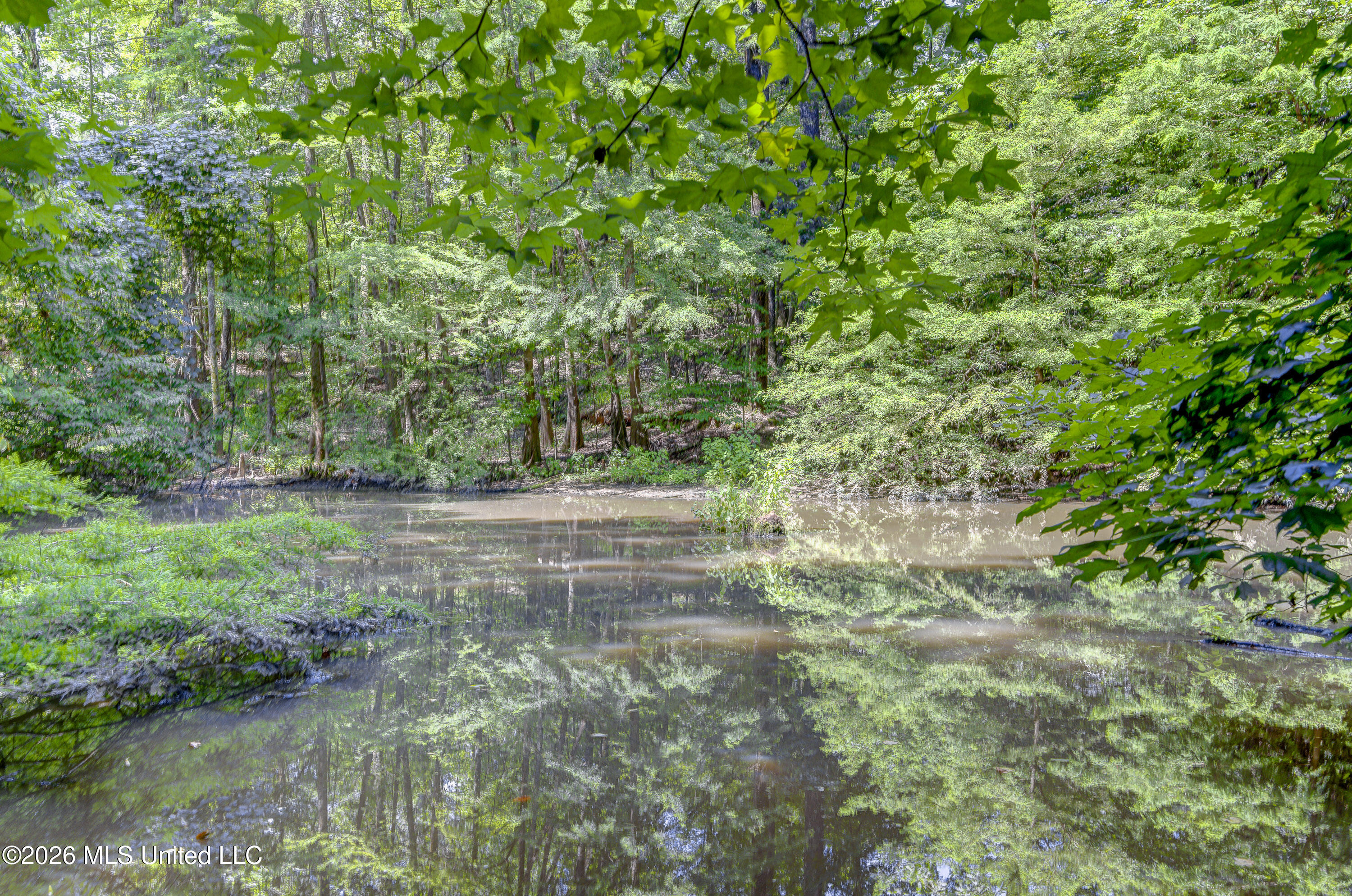 4255 Trotter Road Property Photo 44