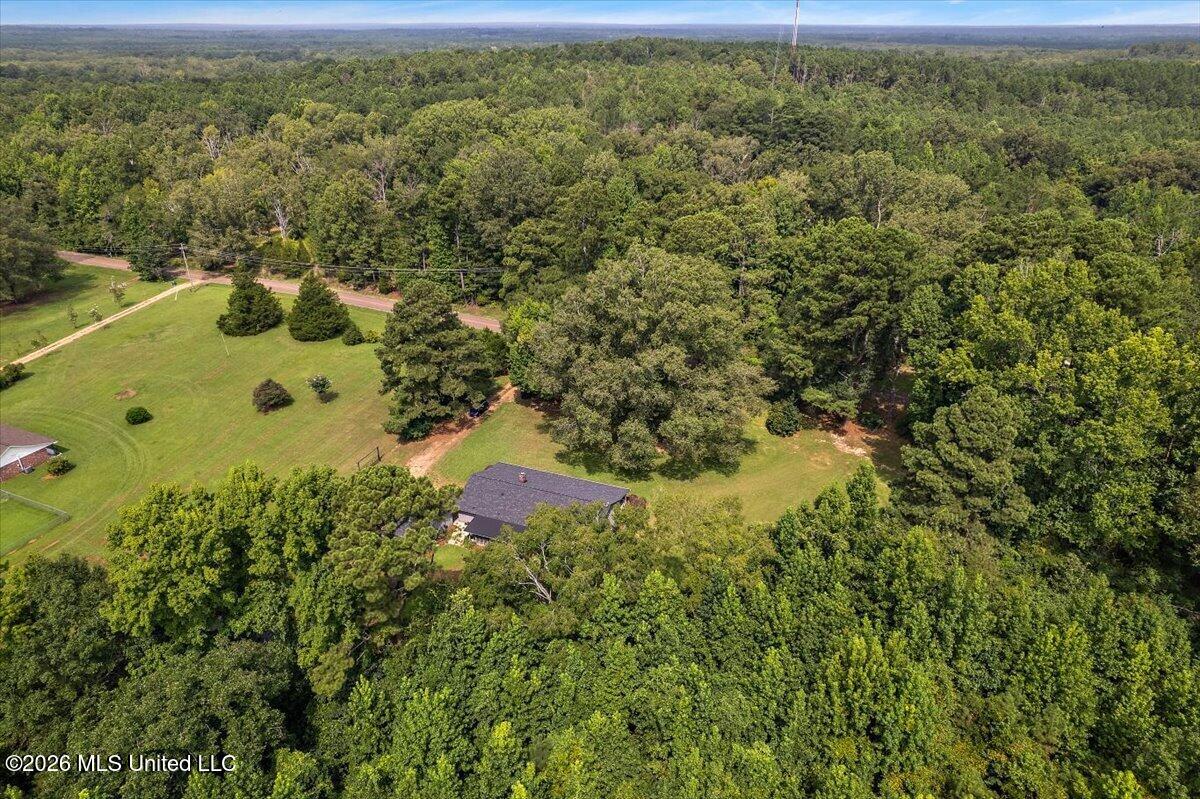 3502 Palestine Road Property Photo 37
