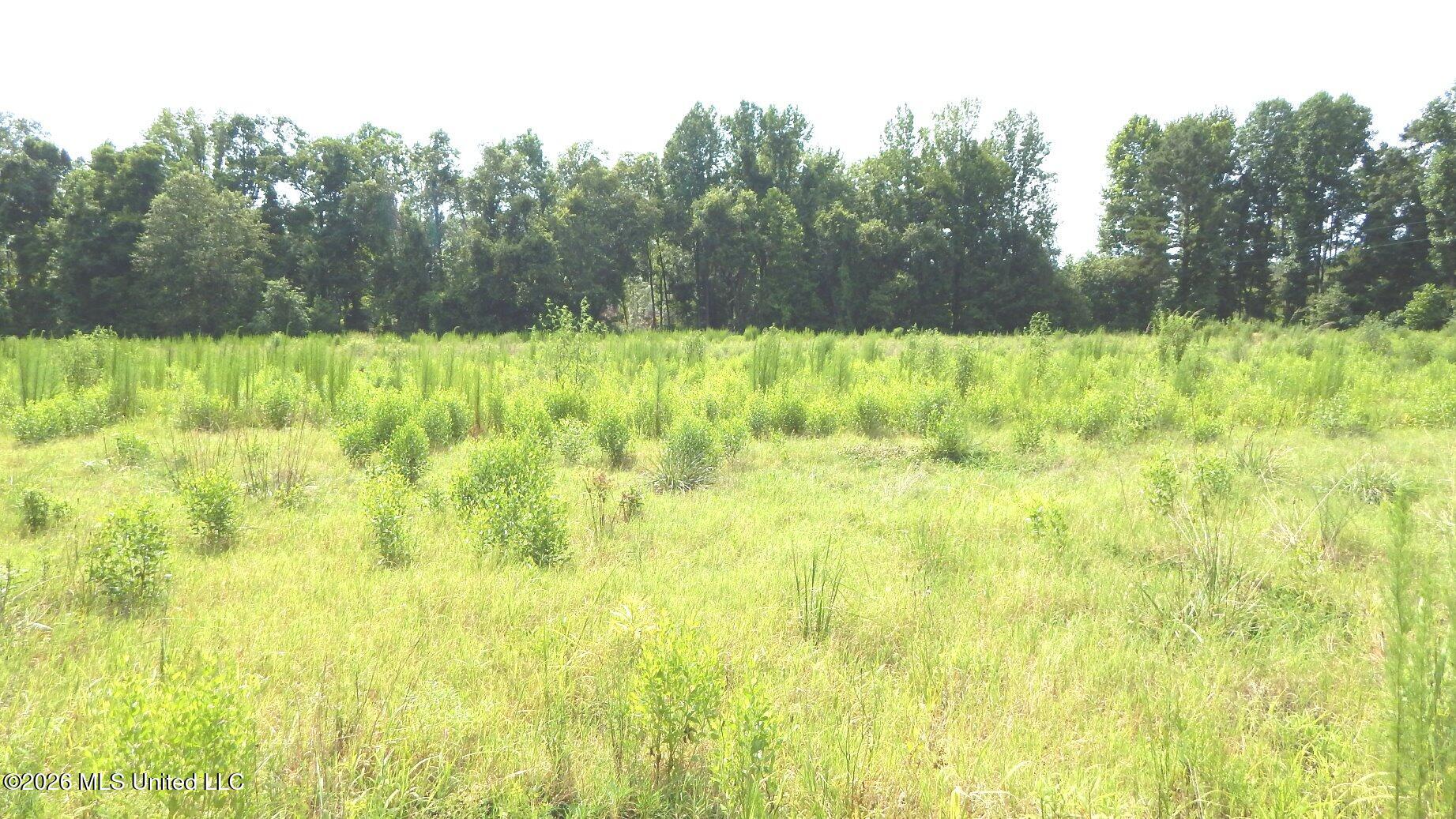 590 County Road 247