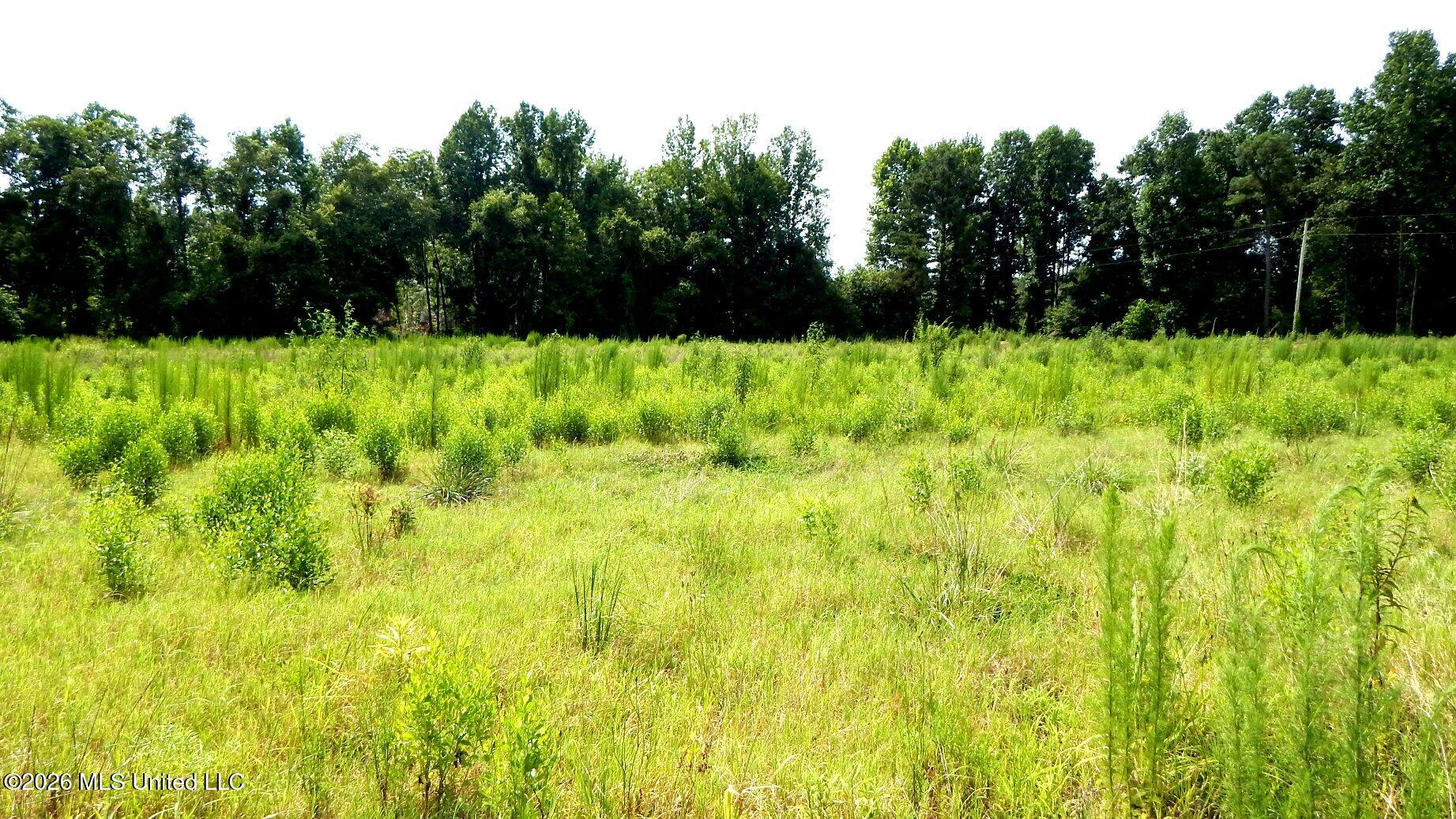 590 County Road 247 Property Photo 3