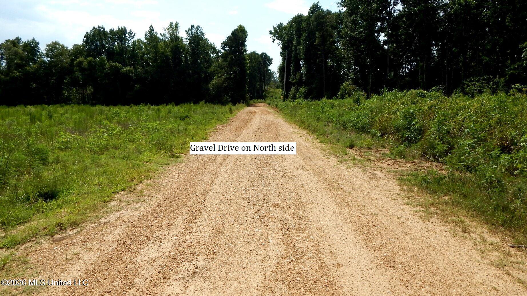 590 County Road 247 Property Photo 4