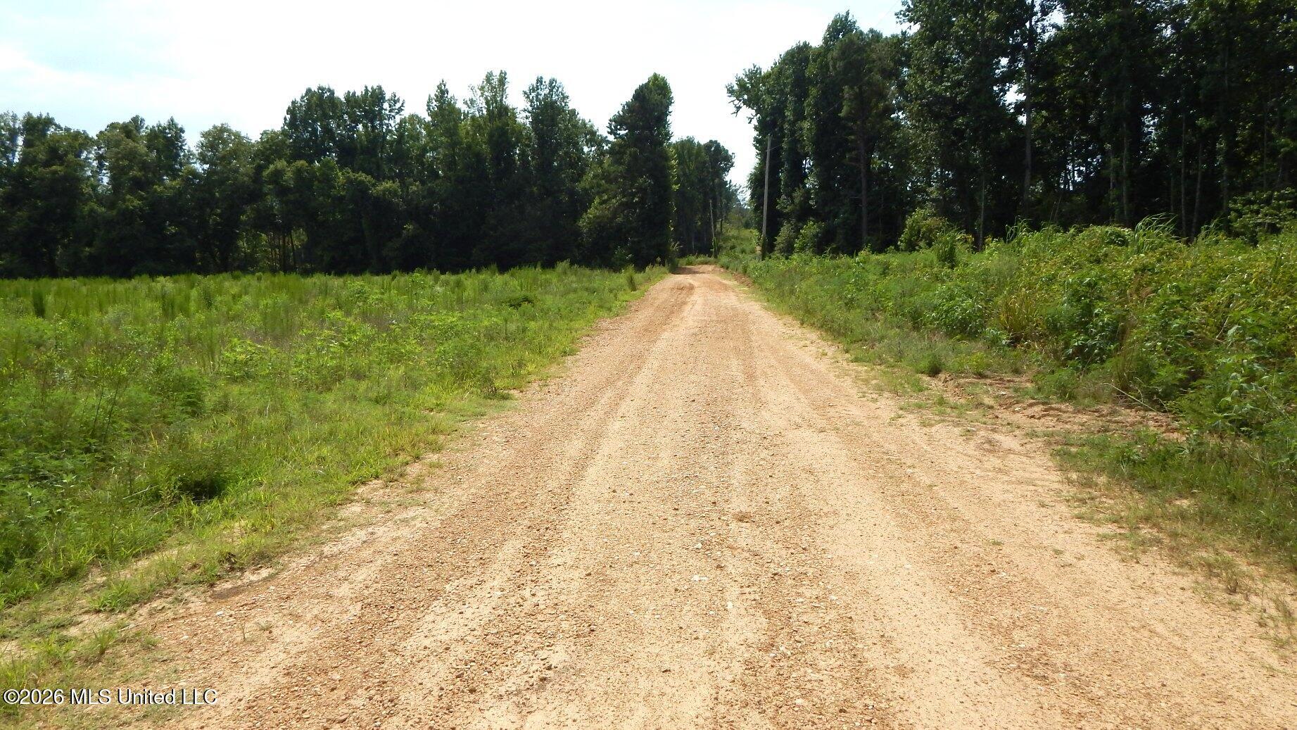 590 County Road 247 Property Photo 5
