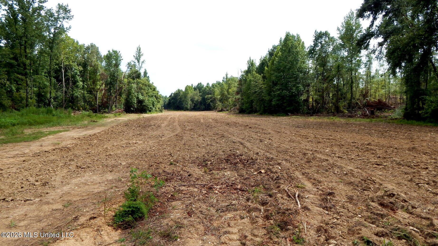 590 County Road 247 Property Photo 6