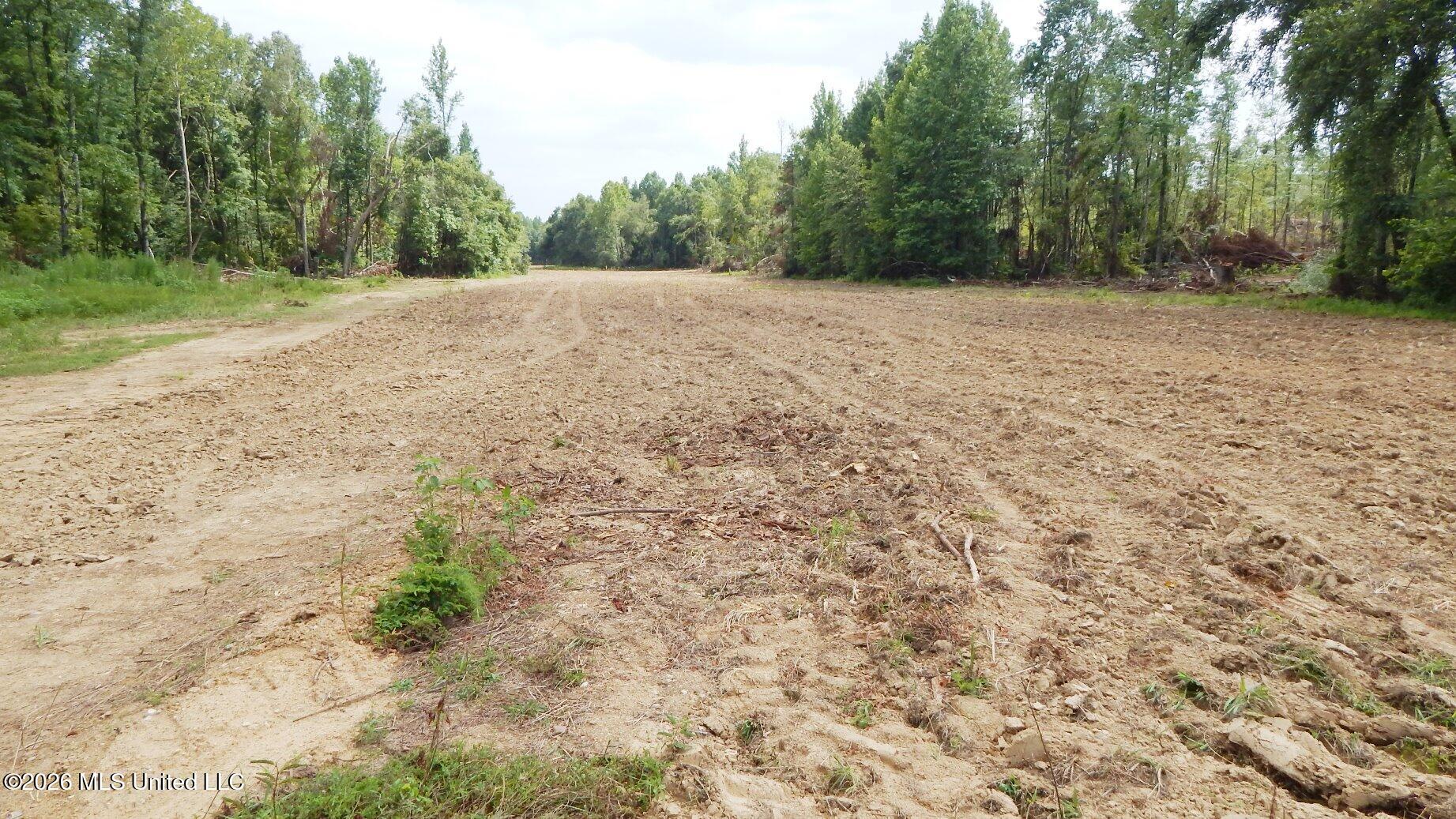 590 County Road 247 Property Photo 7